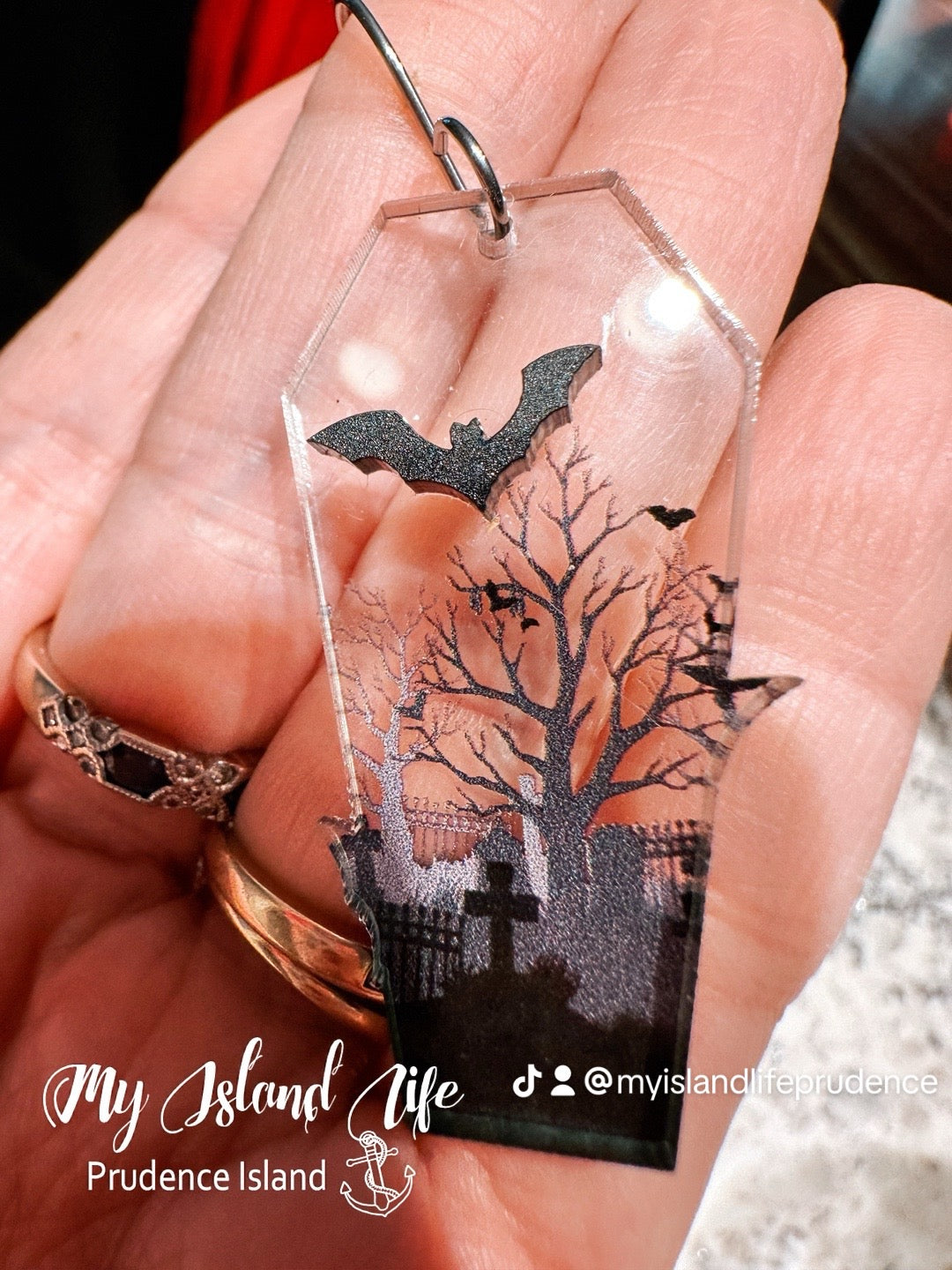 Coffin Bat Earrings