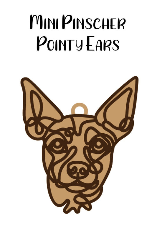 Mini Pinscher Pointy Ears