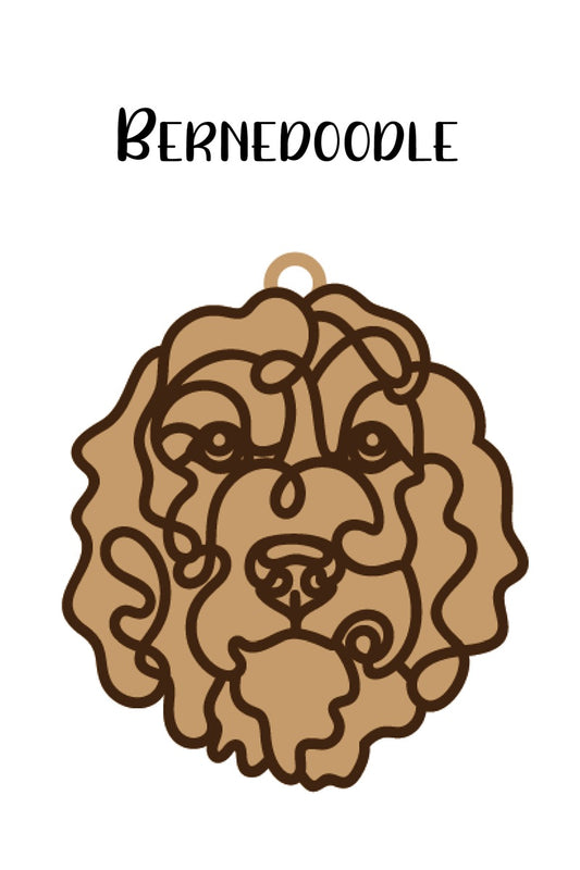 Bernedoodle