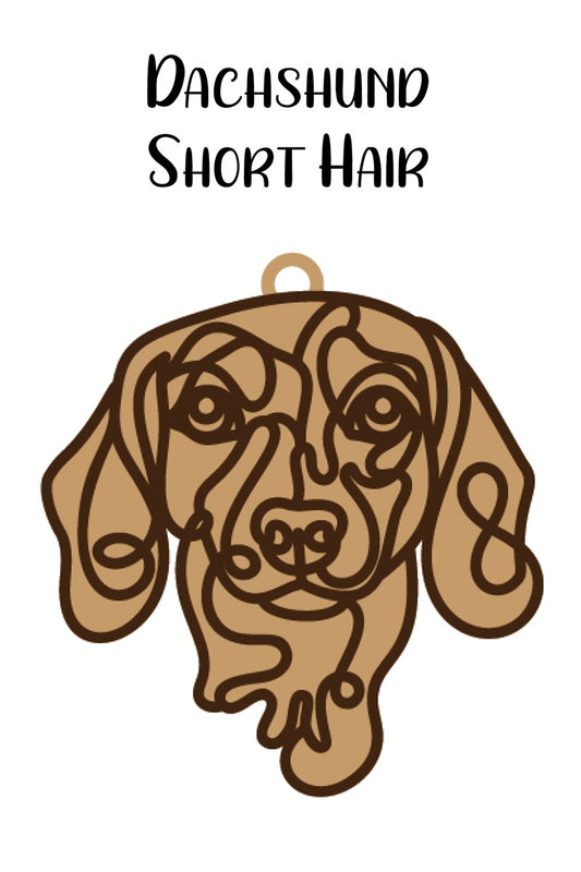 Dacshund Short Hair