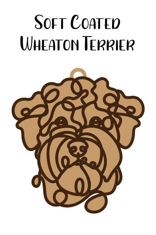 Soft Coated Wheaton Terrier