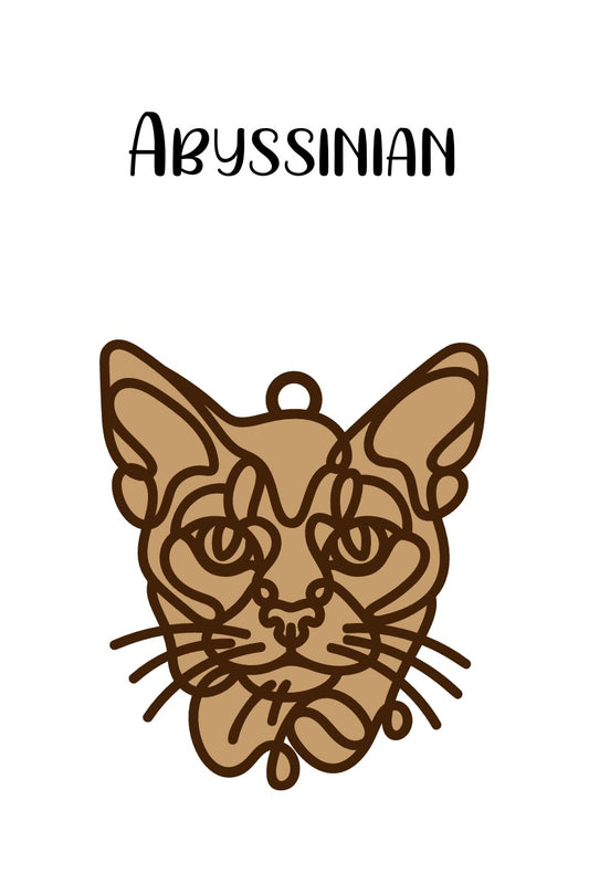 Abyssinian Cat