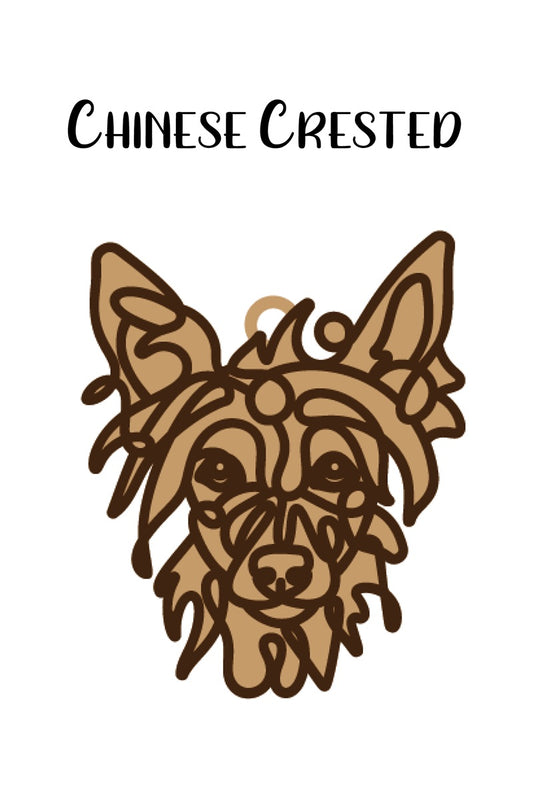 Chinese Crested