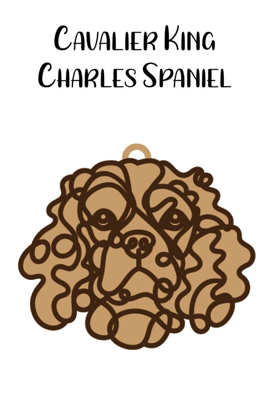 Cavalier King Charles Spaniel