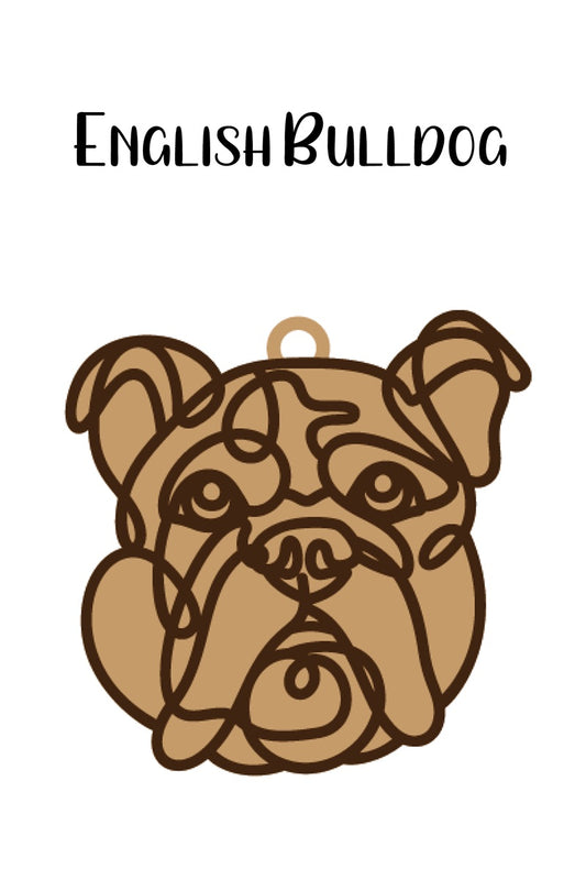 English Bulldog