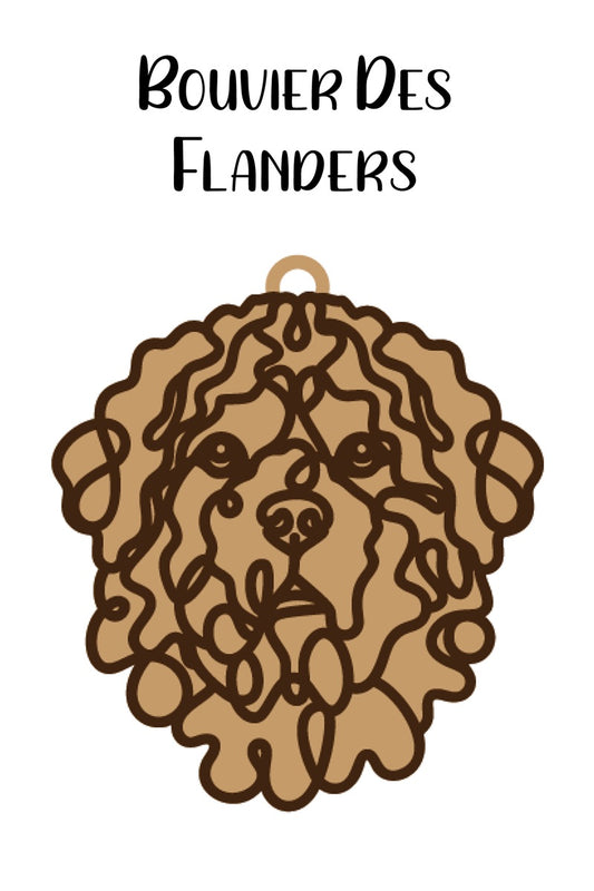 Bouvier Des Flanders