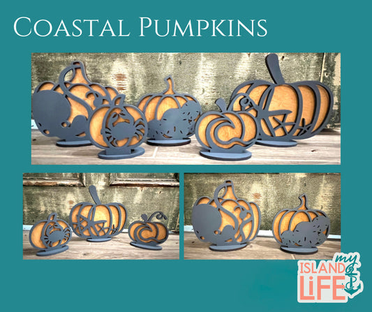 Coastal Pumpkin Collection