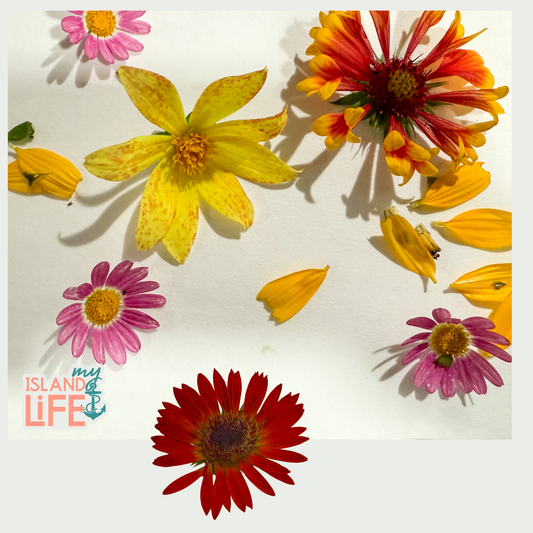 Flower Press - Large