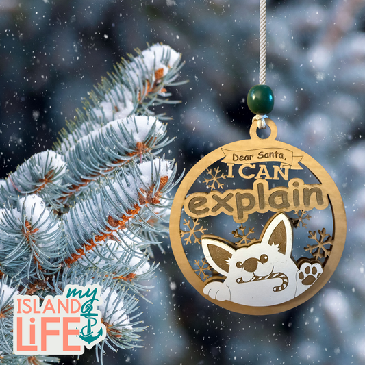 Dear Santa, I Can Explain Ornament