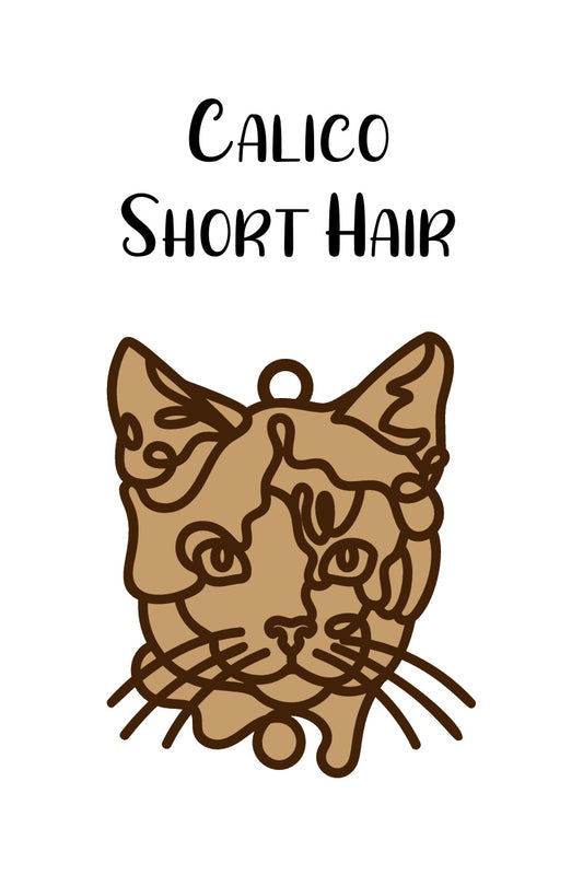 Calico Short Hair Cat