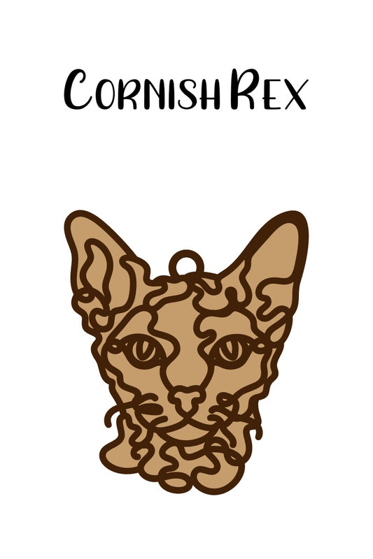 Cornish Rex Cat