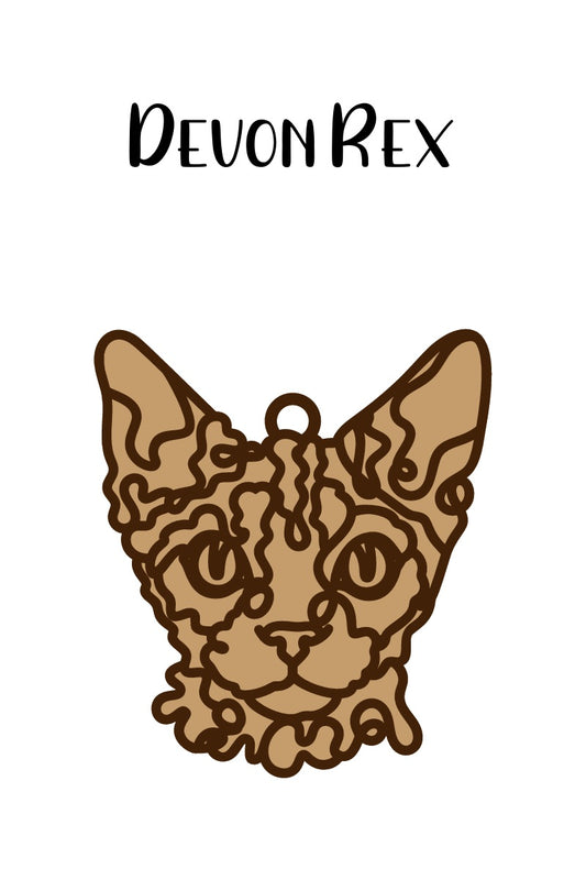 Devon Rex Cat