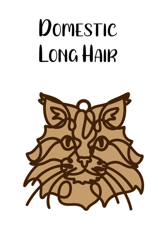 Domestic Long Hair Cat