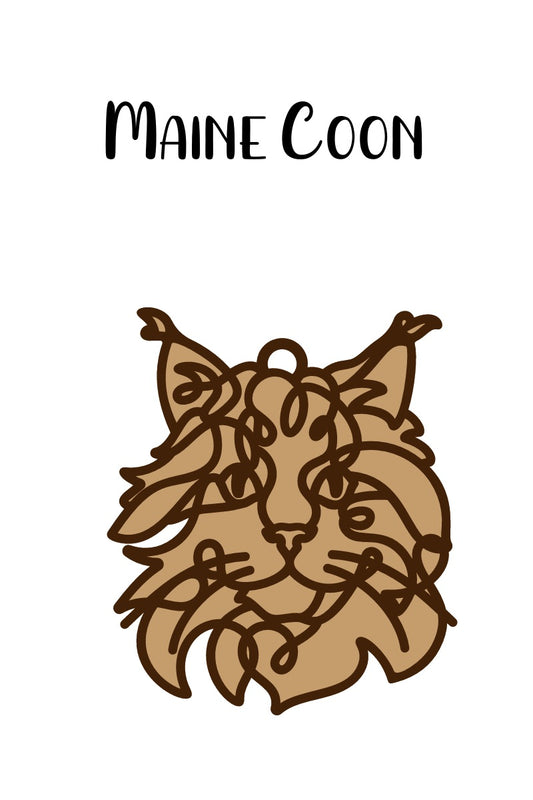 Maine Coon Cat