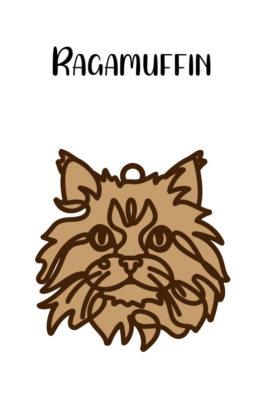 Ragamuffin Cat