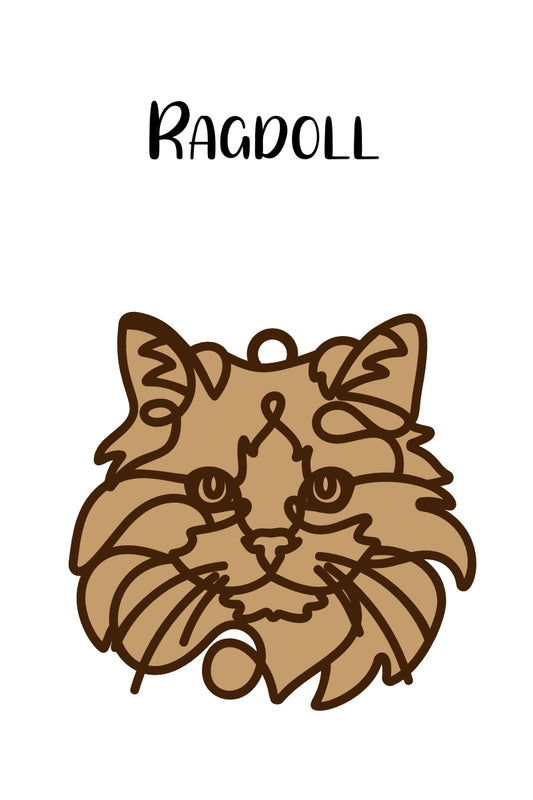 Ragdoll Cat