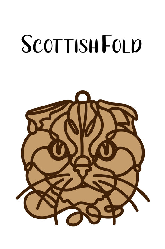 Scottish Fold Cat