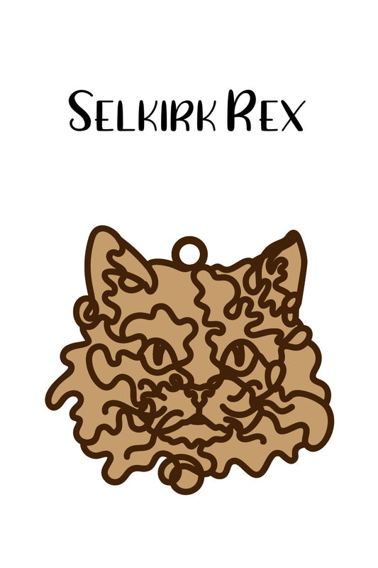 Selkirk Rex Cat