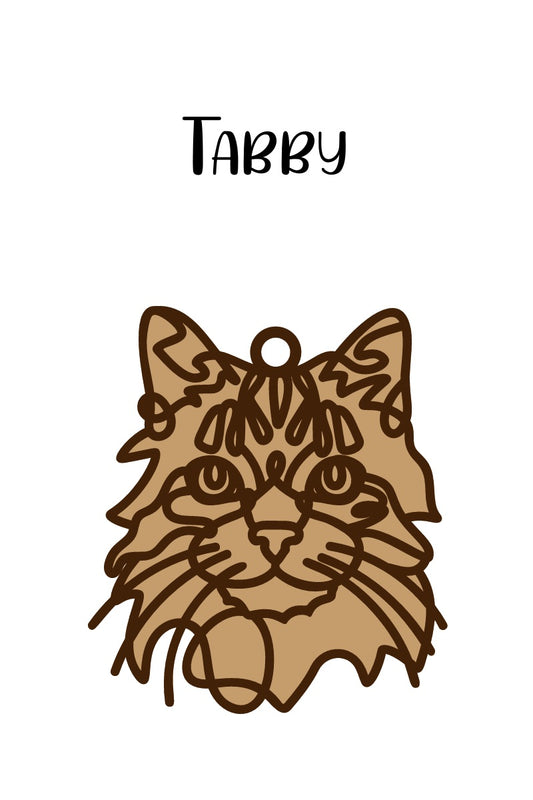 Tabby Cat