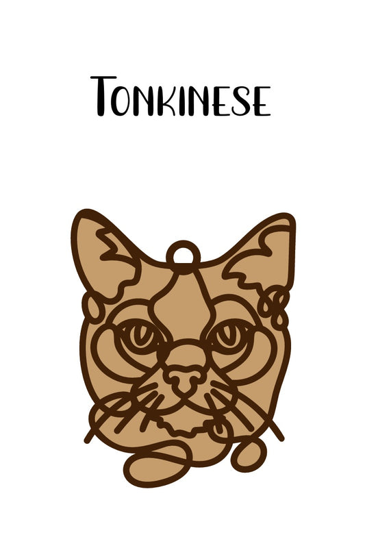 Tonkinese Cat