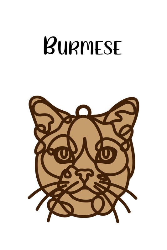 Burmese Cat