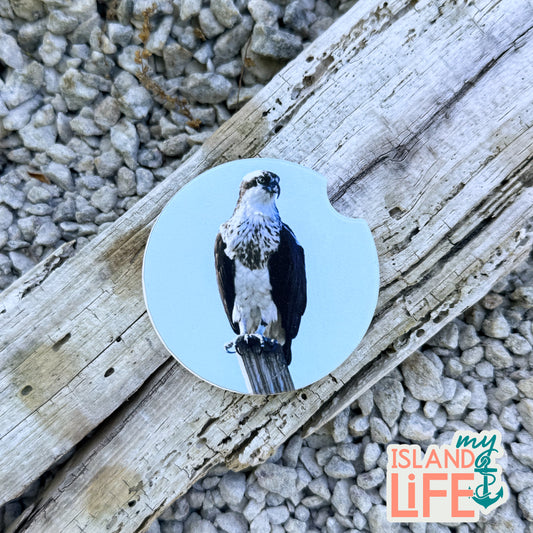 Car Coaster with a osprey picture